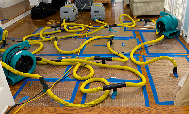 Professional Crawl Space Water Removal technician working in Saint Martin, MN
